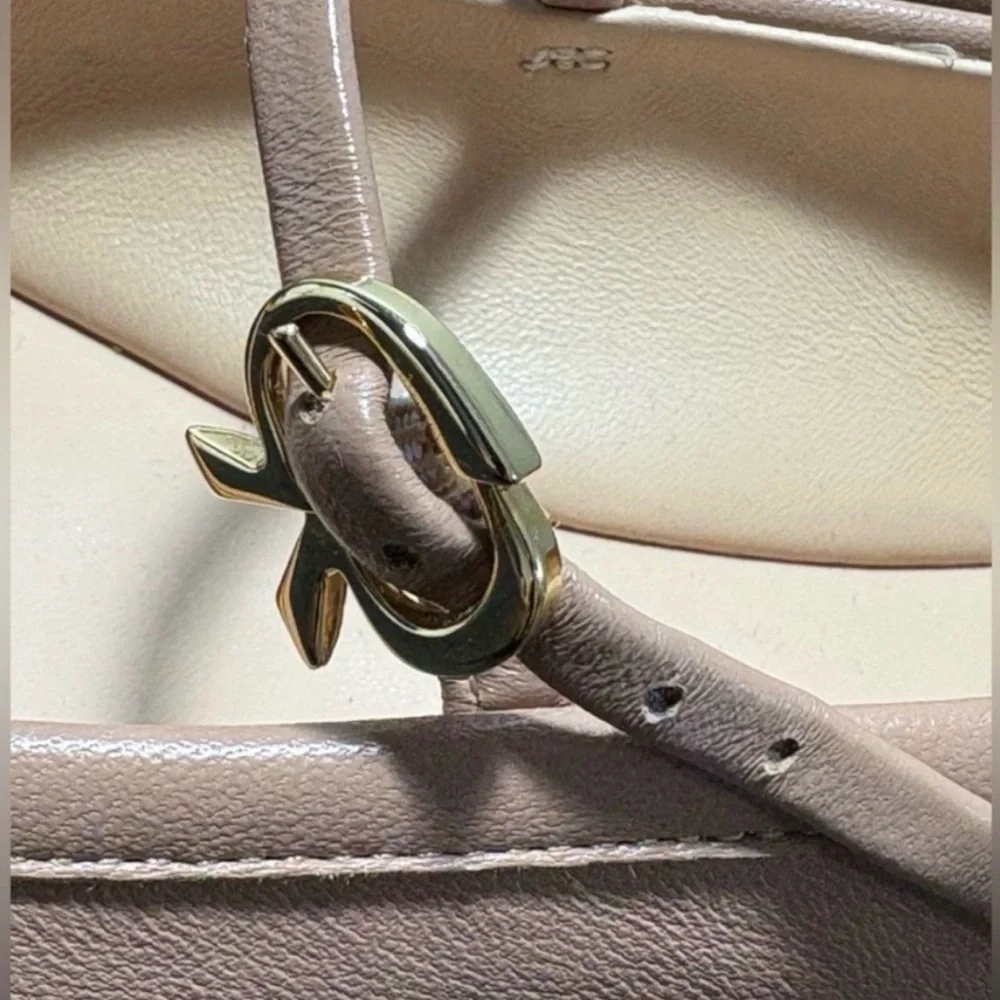 DELISTING TONIGHT. Gianvito Rossi Carla Ballerina. Tan Leather EU 40 (US 9.5–10) - Picture 6 of 11